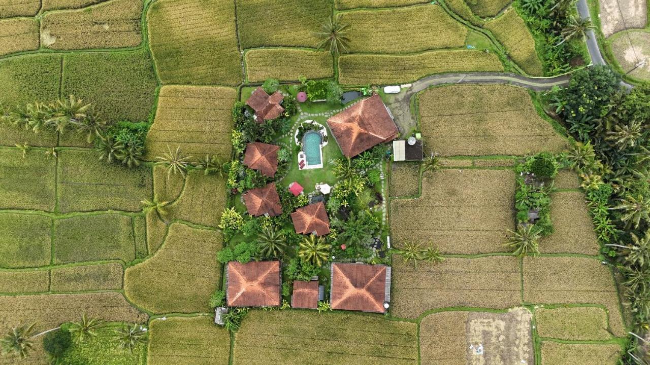 מלון אובוד Bali Sawah Indah מראה חיצוני תמונה