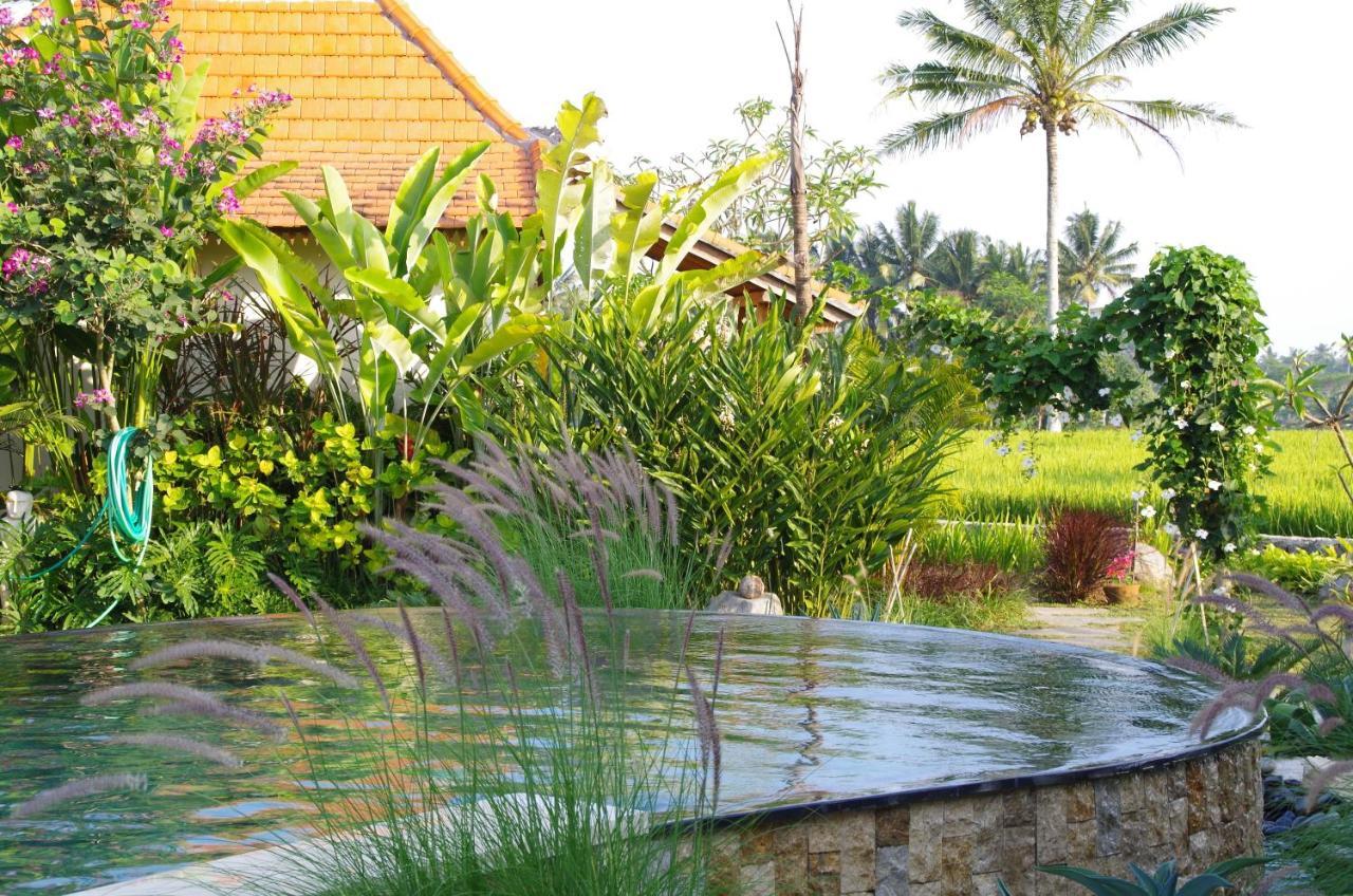 מלון אובוד Bali Sawah Indah מראה חיצוני תמונה