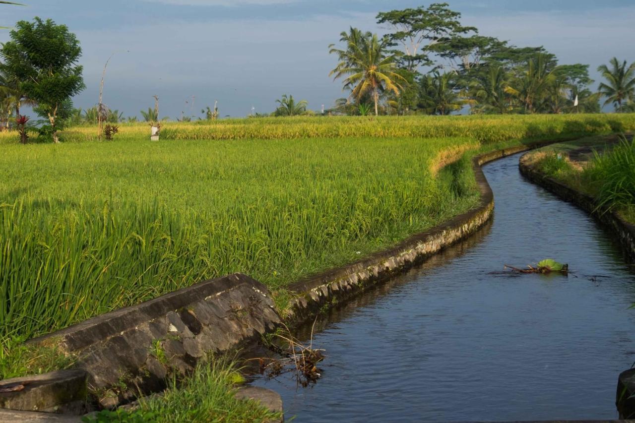 מלון אובוד Bali Sawah Indah מראה חיצוני תמונה